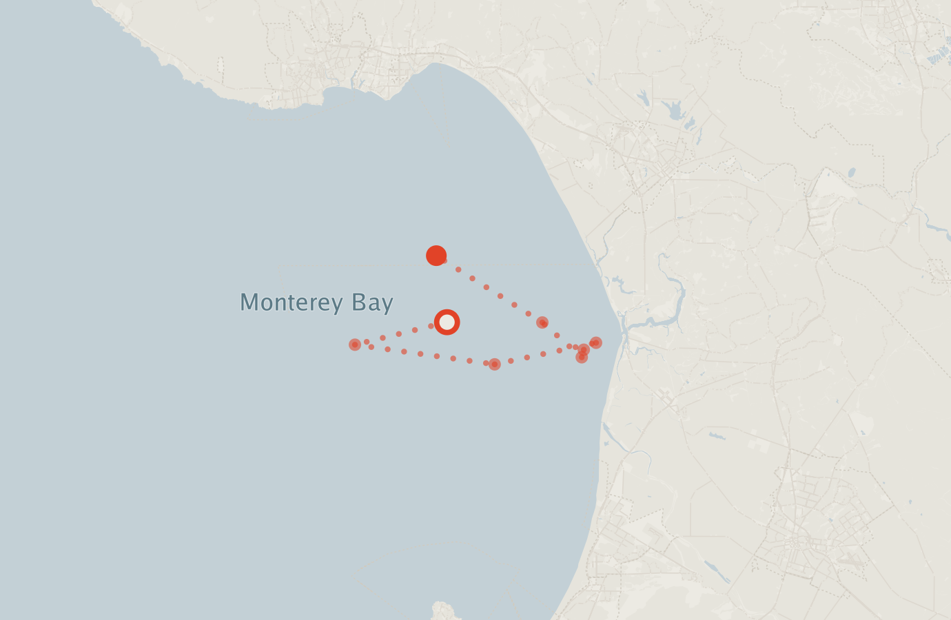 Activity map — real sighting points on an OpenStreetMap basemap