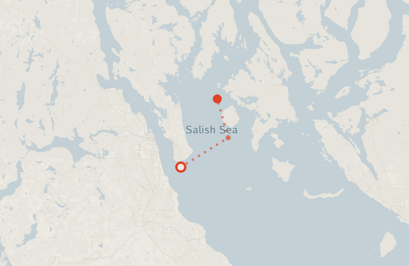 Activity map — real sighting points on an OpenStreetMap basemap
