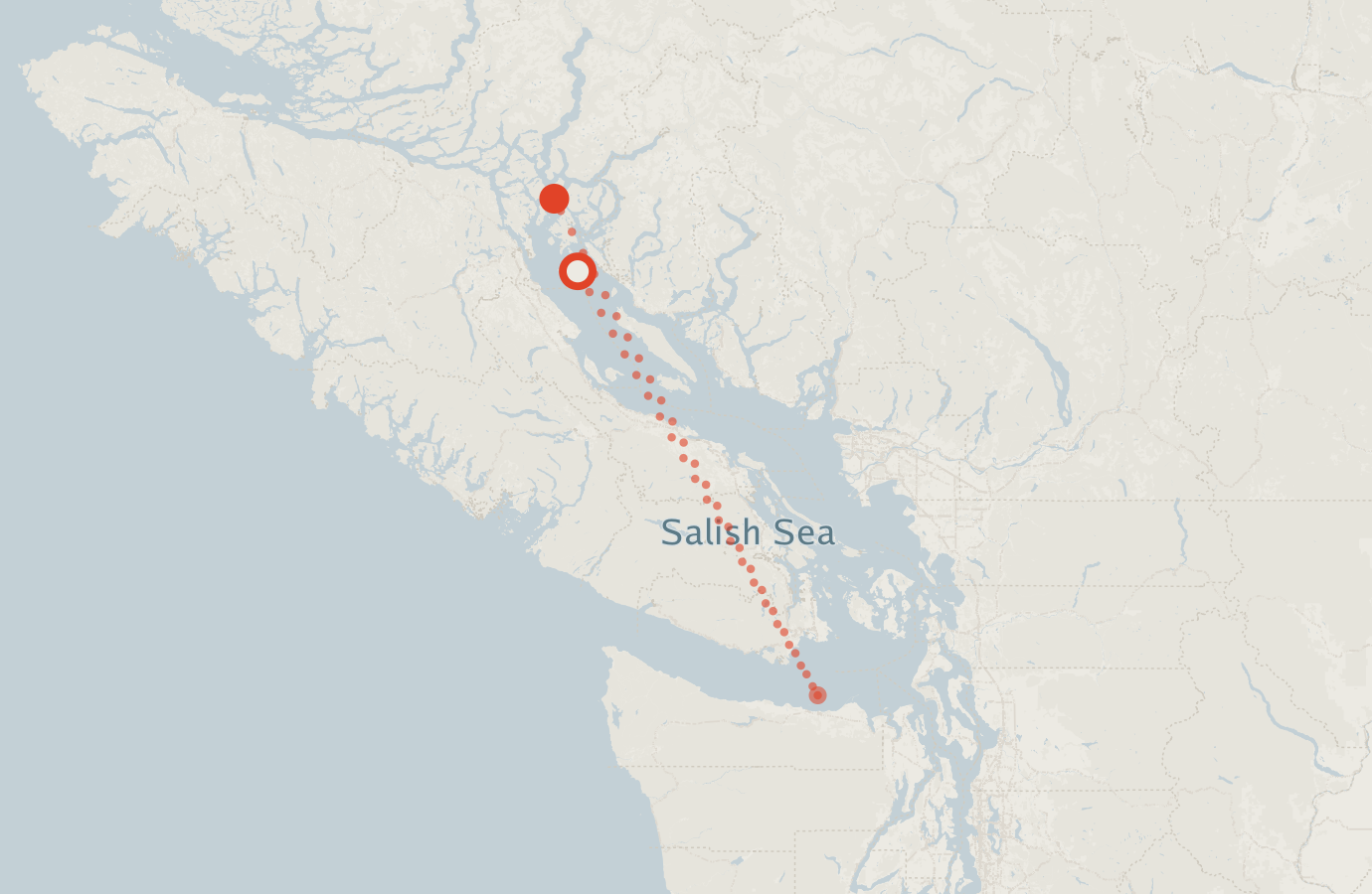 Activity map — real sighting points on an OpenStreetMap basemap