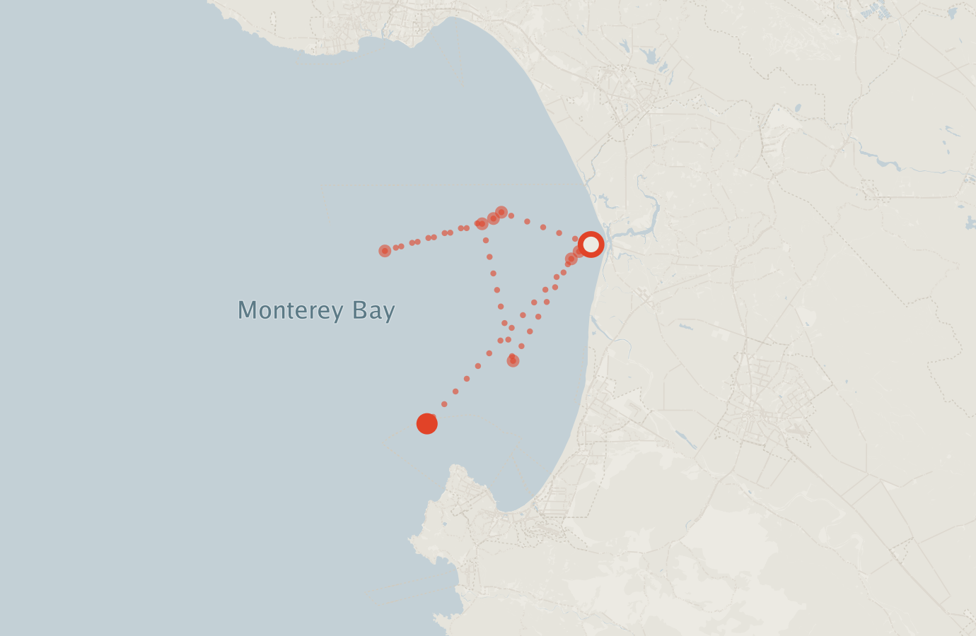 Activity map — real sighting points on an OpenStreetMap basemap