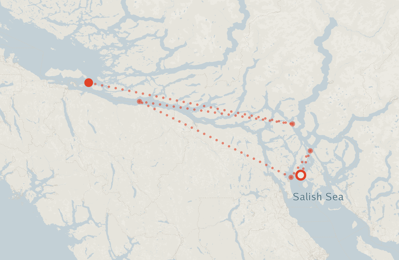 Activity map — real sighting points on an OpenStreetMap basemap