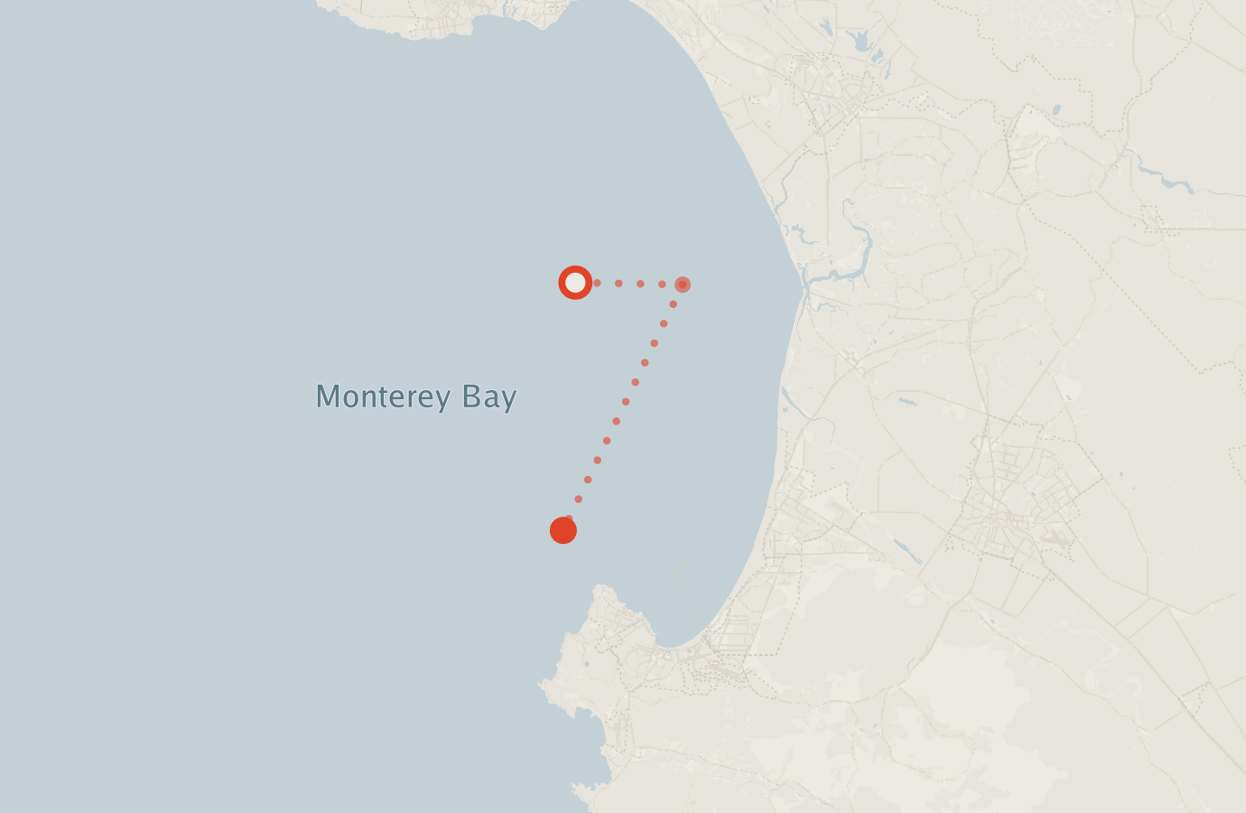 Activity map — real sighting points on an OpenStreetMap basemap