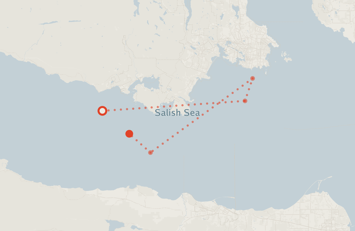 Activity map — real sighting points on an OpenStreetMap basemap