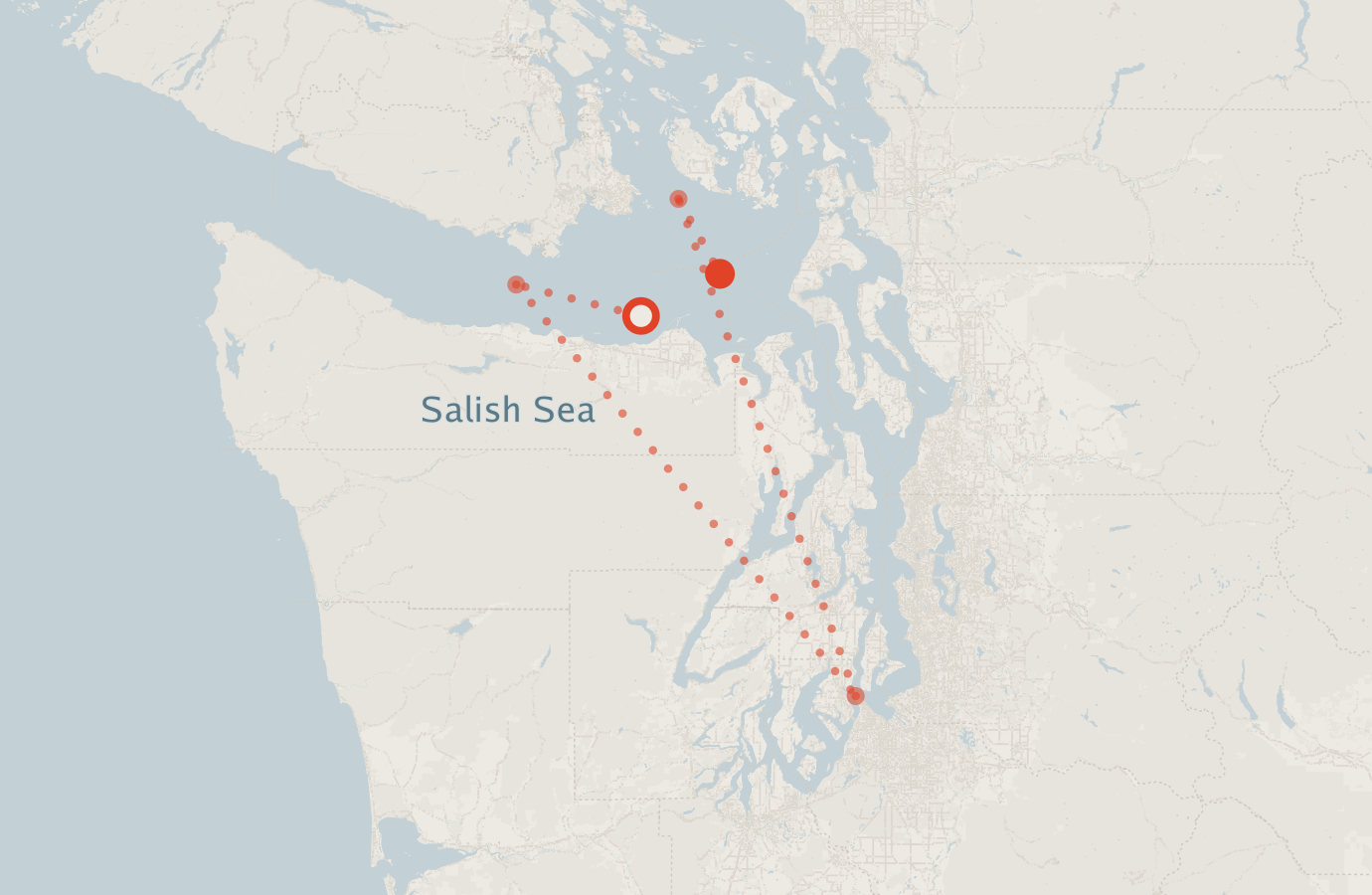 Activity map — real sighting points on an OpenStreetMap basemap