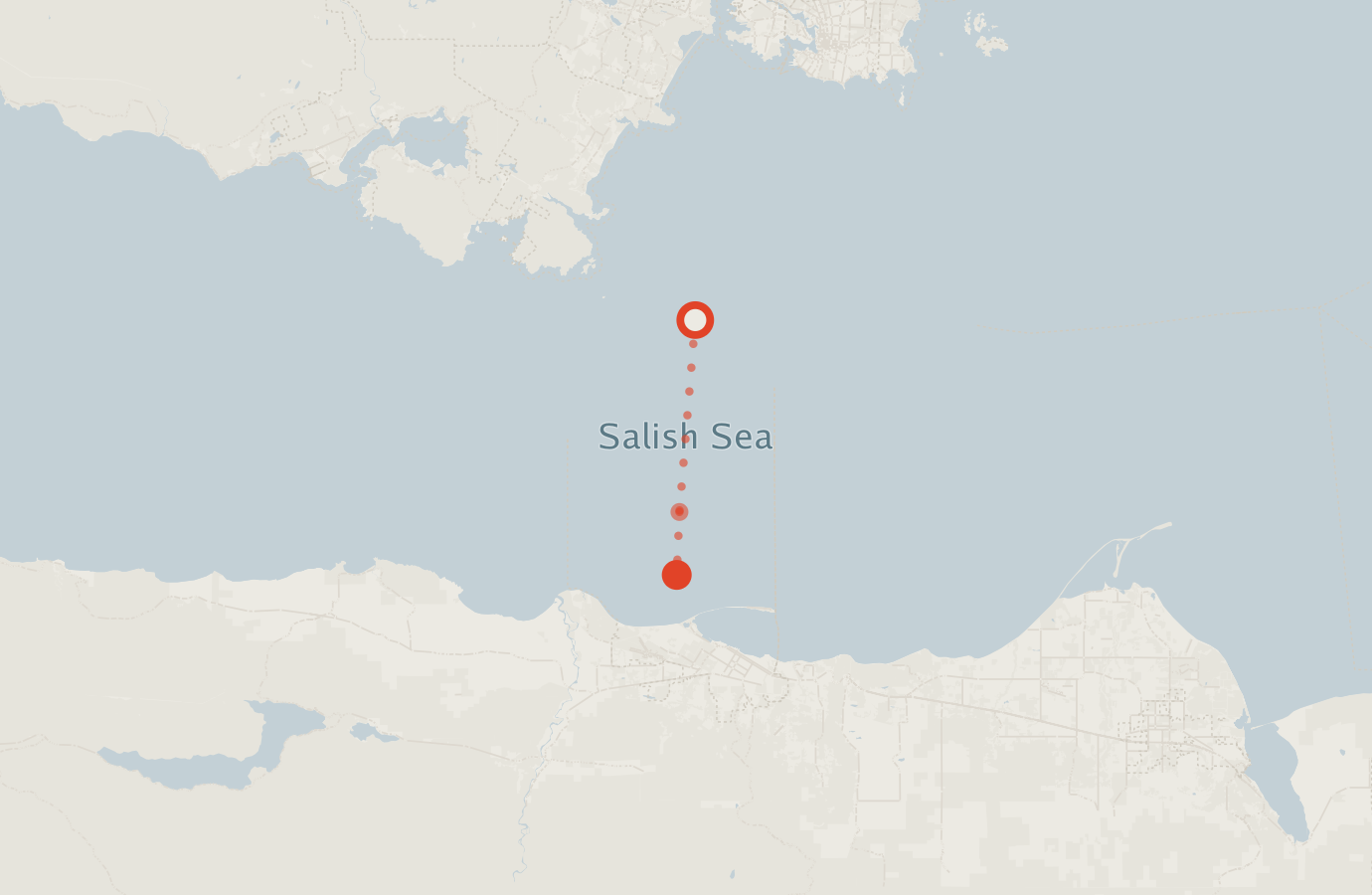 Activity map — real sighting points on an OpenStreetMap basemap