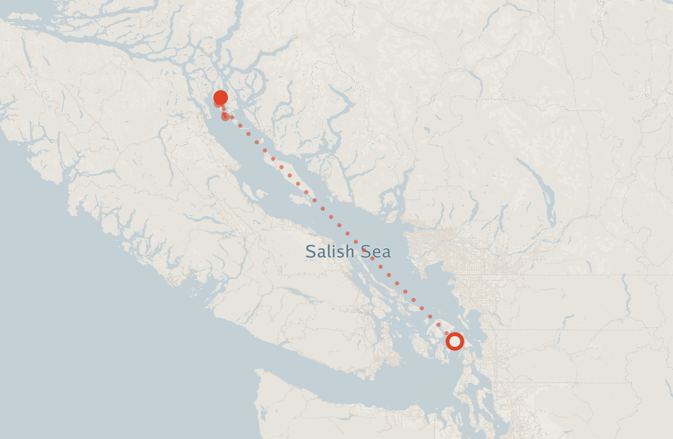 Activity map — real sighting points on an OpenStreetMap basemap