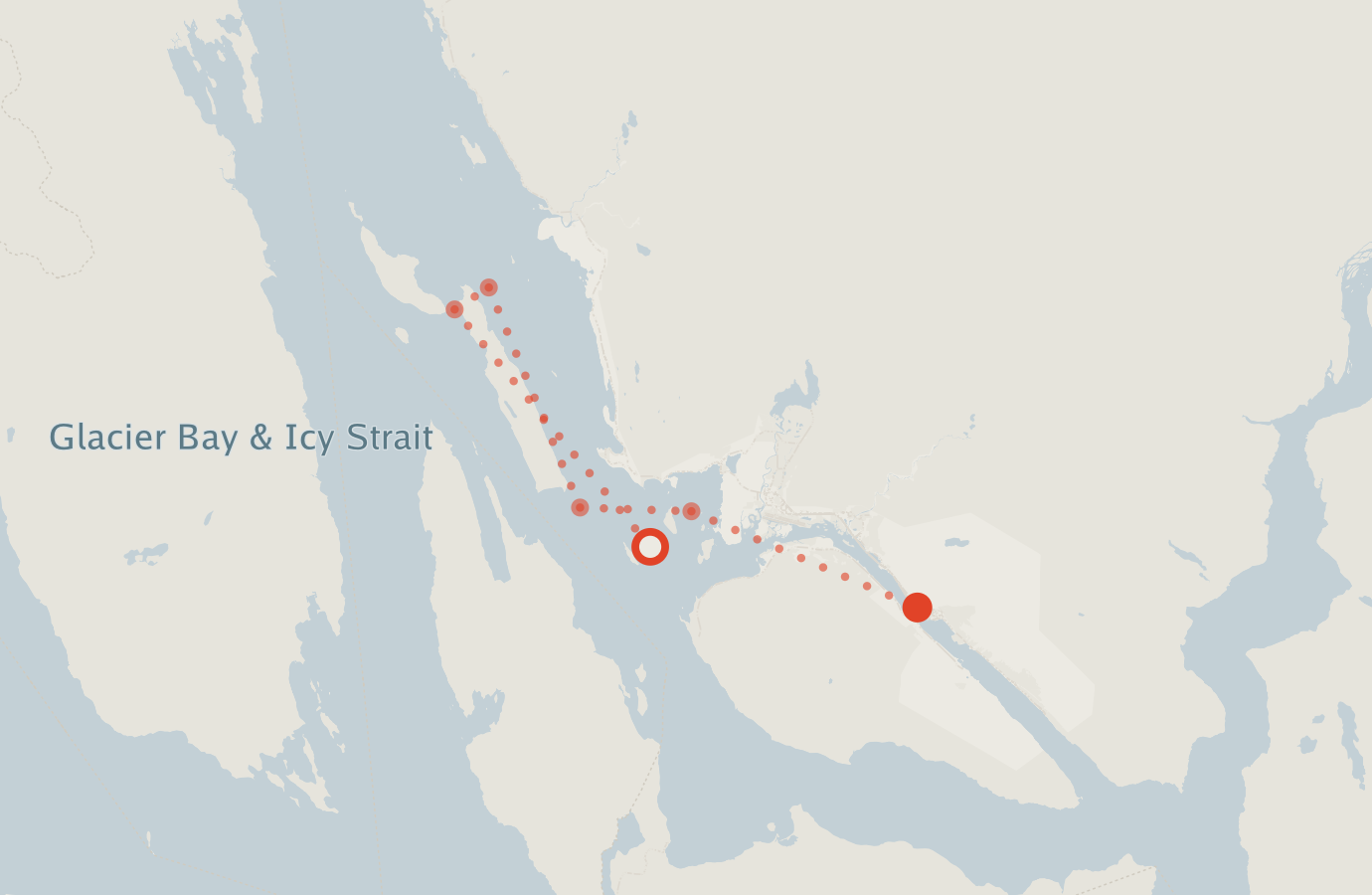 Activity map — real sighting points on an OpenStreetMap basemap