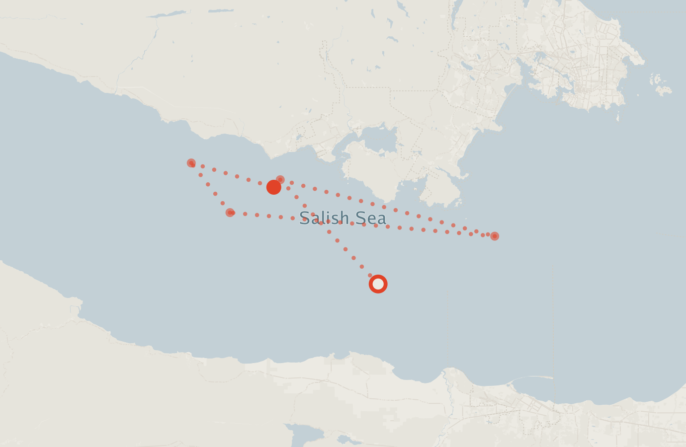 Activity map — real sighting points on an OpenStreetMap basemap
