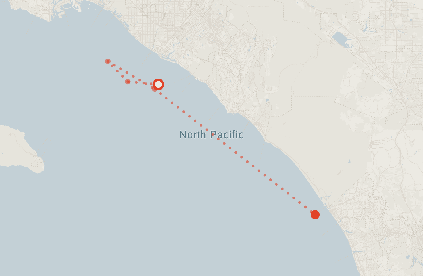 Activity map — real sighting points on an OpenStreetMap basemap