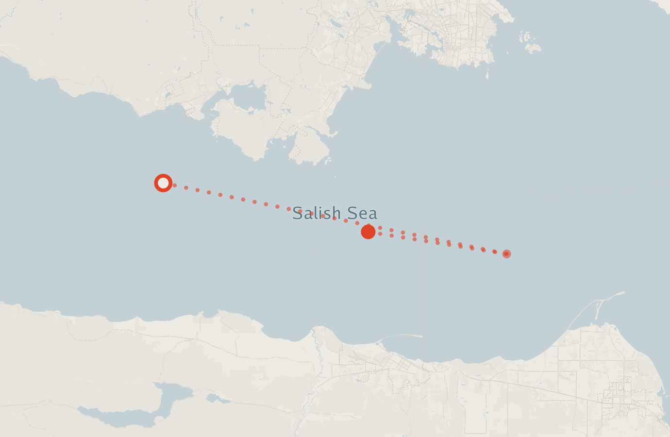 Activity map — real sighting points on an OpenStreetMap basemap