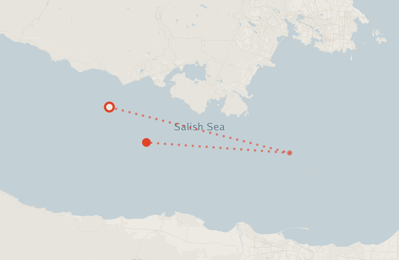 Activity map — real sighting points on an OpenStreetMap basemap