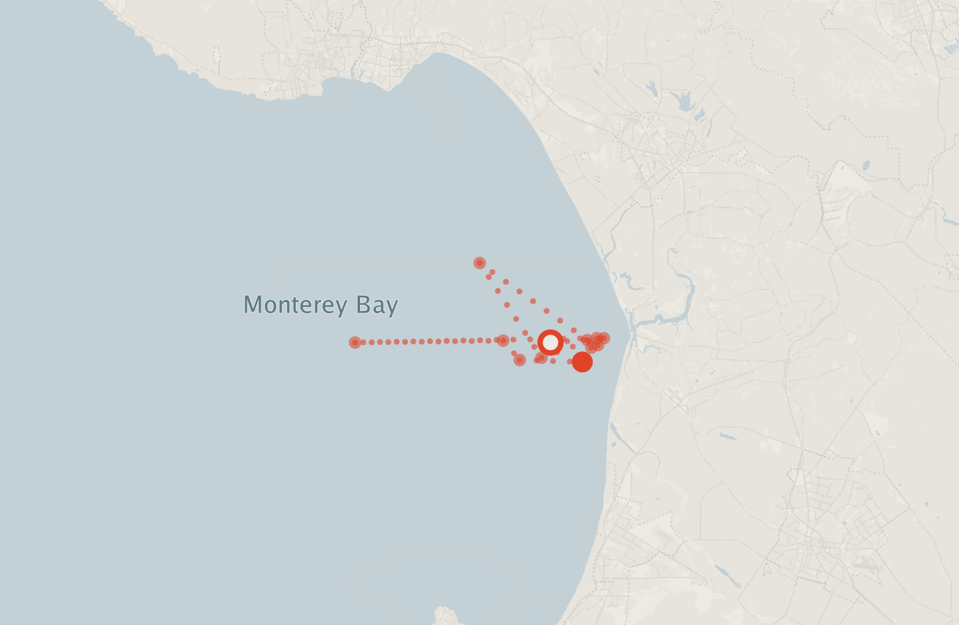 Activity map — real sighting points on an OpenStreetMap basemap