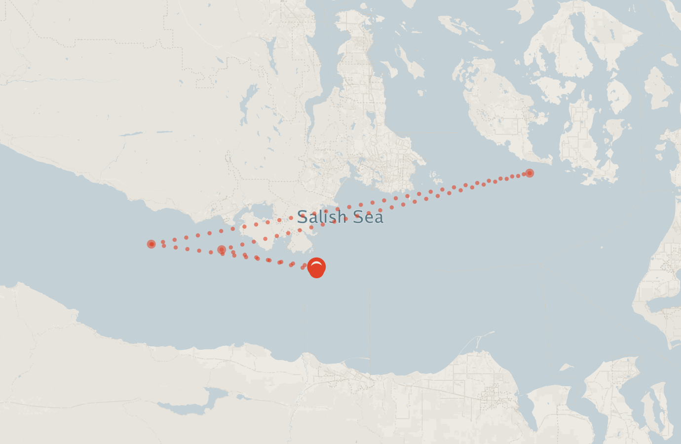 Activity map — real sighting points on an OpenStreetMap basemap