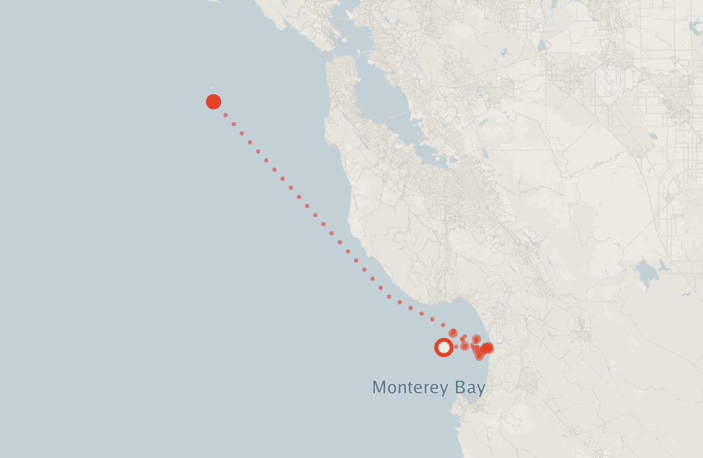 Activity map — real sighting points on an OpenStreetMap basemap