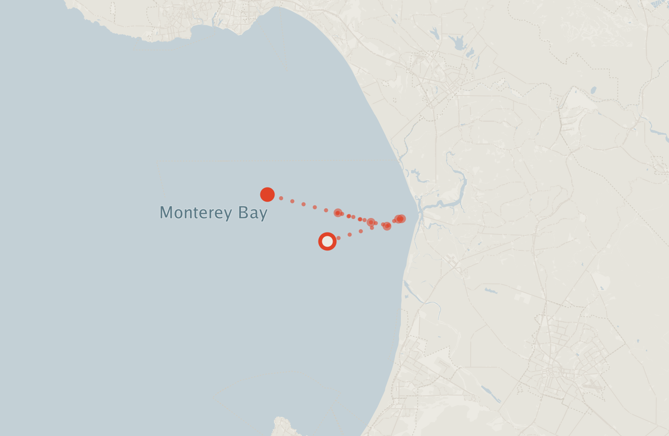 Activity map — real sighting points on an OpenStreetMap basemap