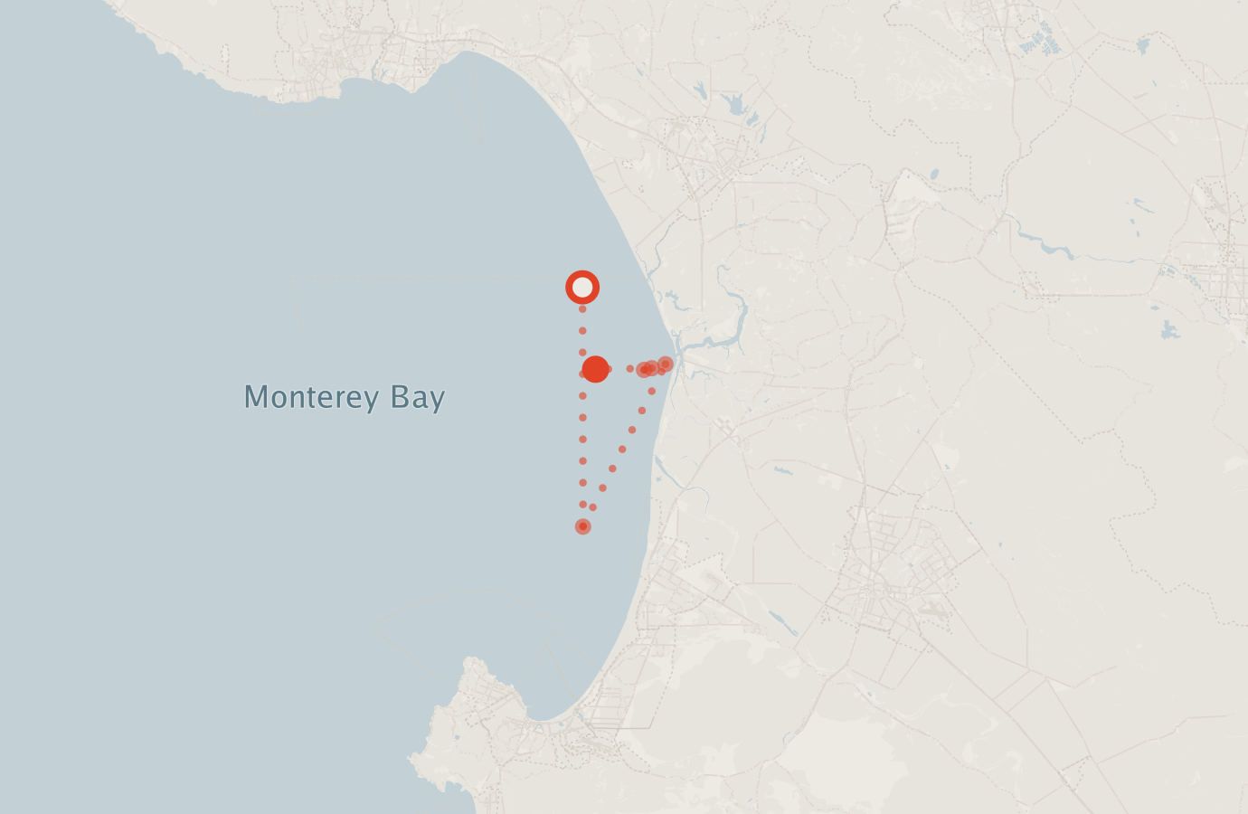 Activity map — real sighting points on an OpenStreetMap basemap