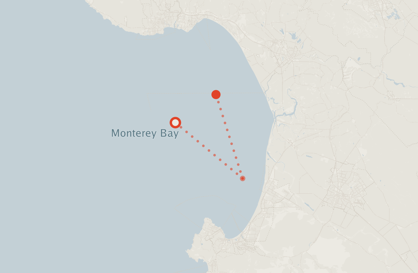 Activity map — real sighting points on an OpenStreetMap basemap