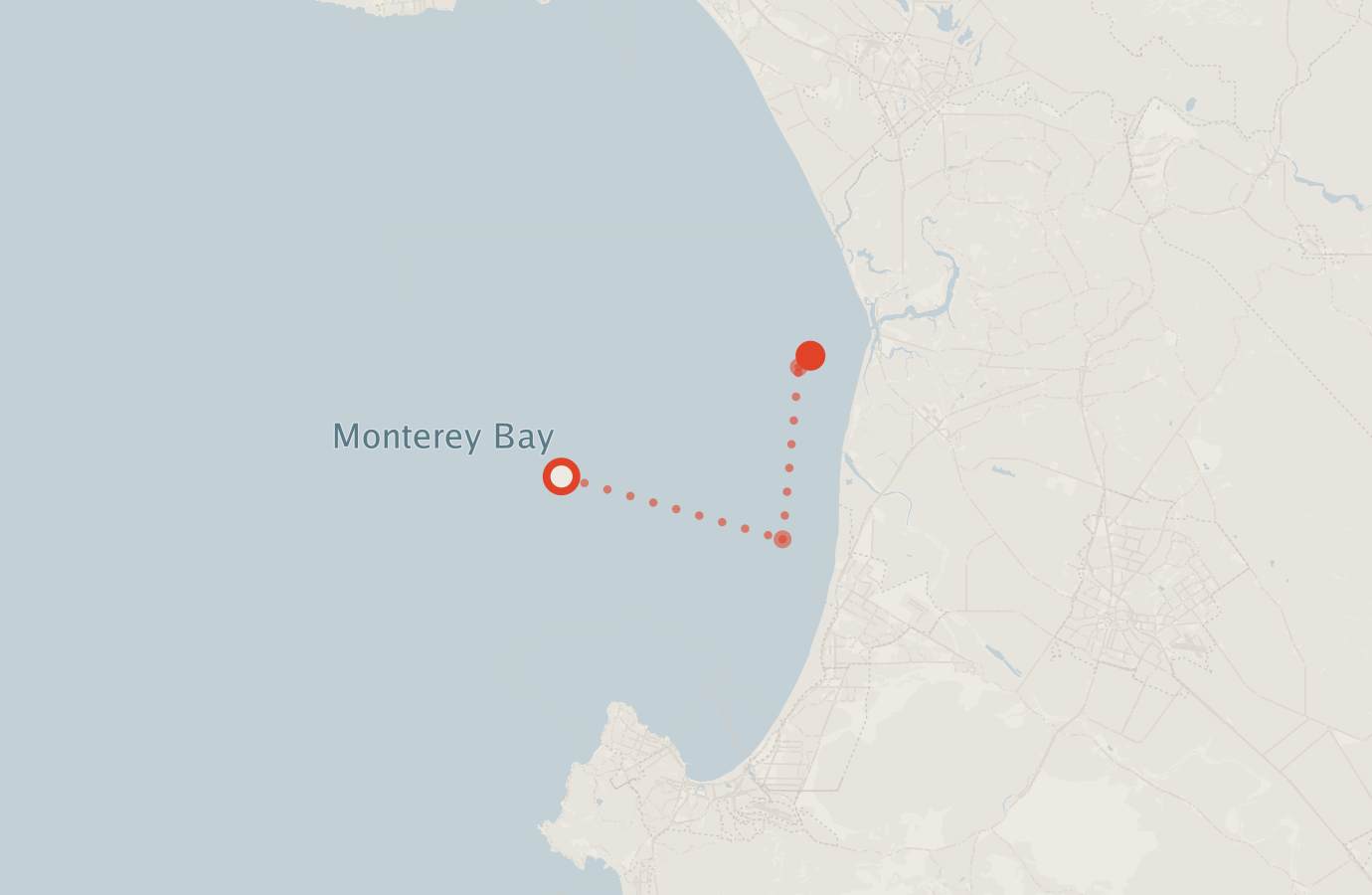 Activity map — real sighting points on an OpenStreetMap basemap