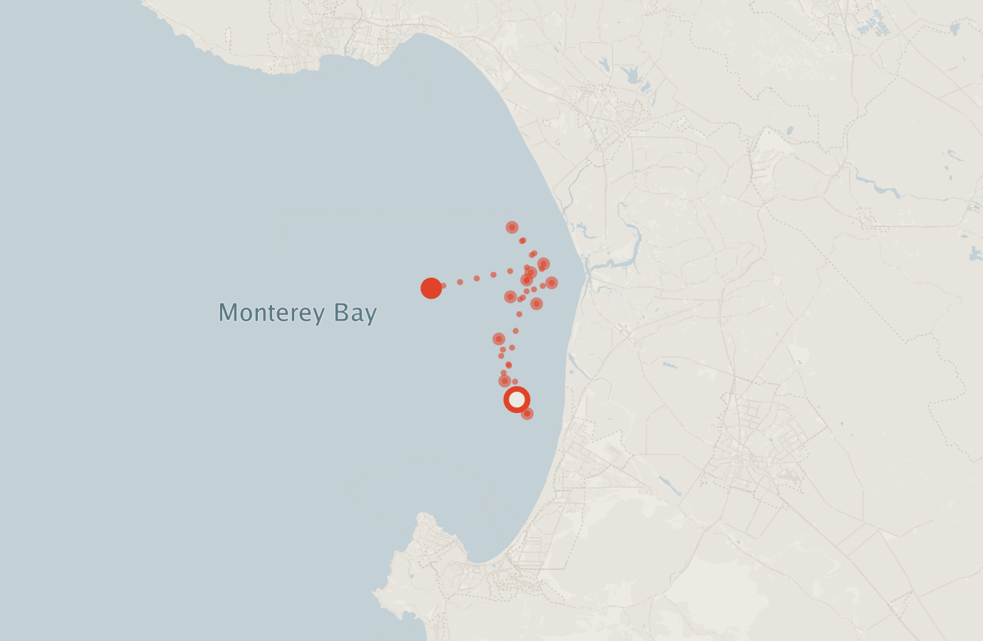 Activity map — real sighting points on an OpenStreetMap basemap