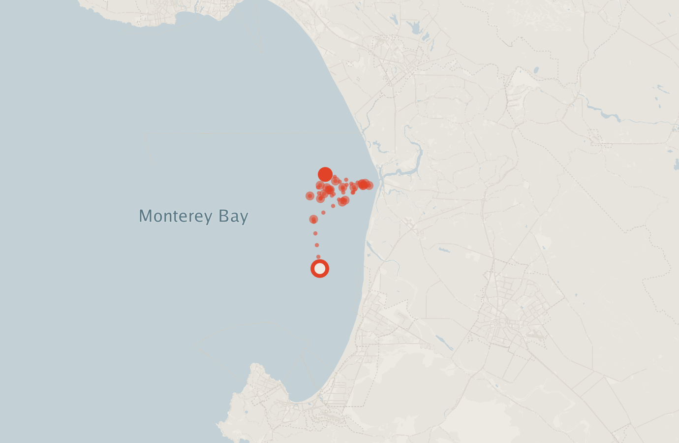 Activity map — real sighting points on an OpenStreetMap basemap