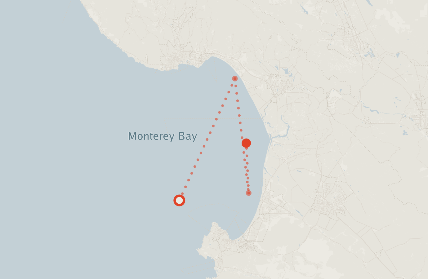 Activity map — real sighting points on an OpenStreetMap basemap