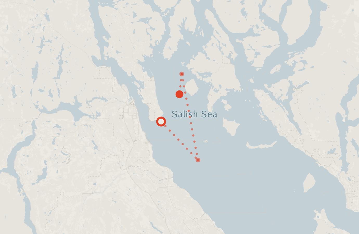 Activity map — real sighting points on an OpenStreetMap basemap