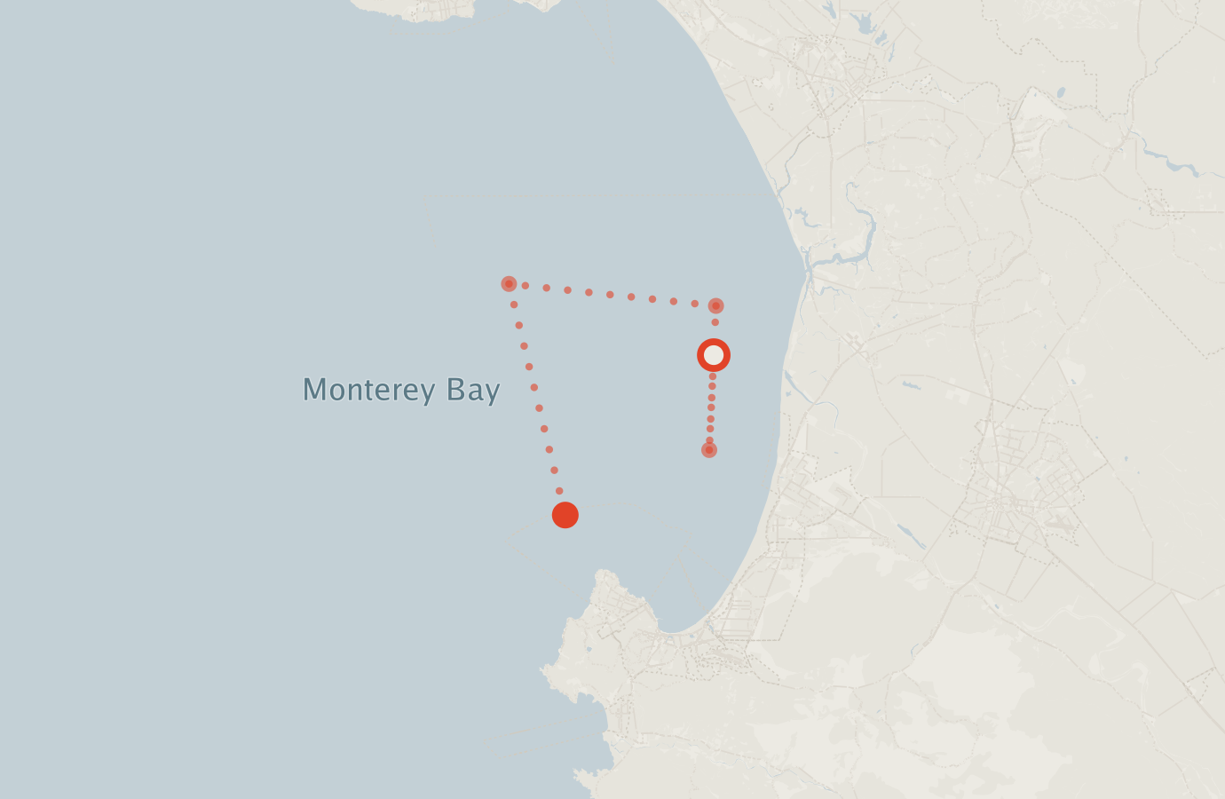 Activity map — real sighting points on an OpenStreetMap basemap