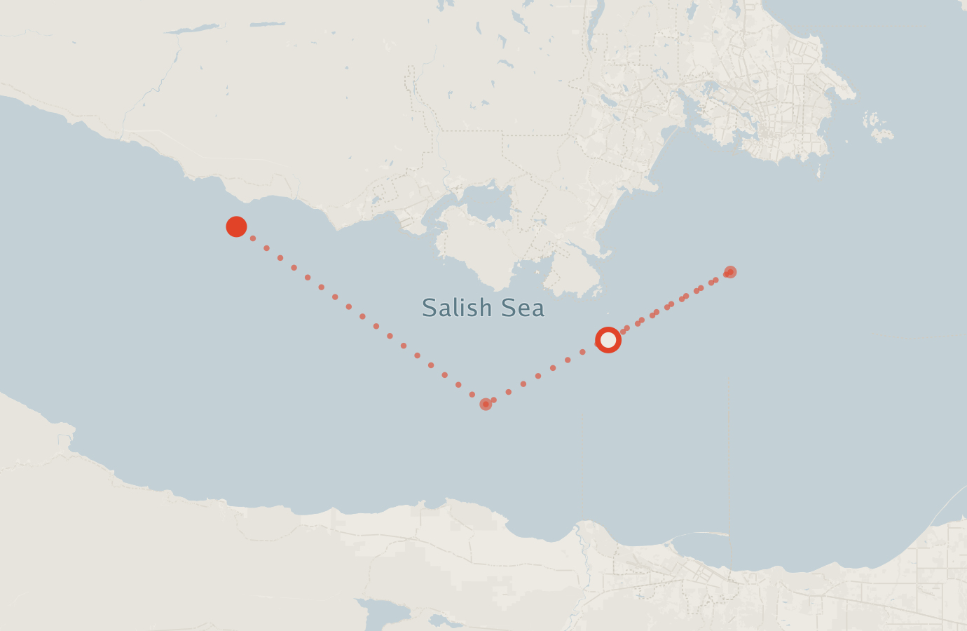 Activity map — real sighting points on an OpenStreetMap basemap