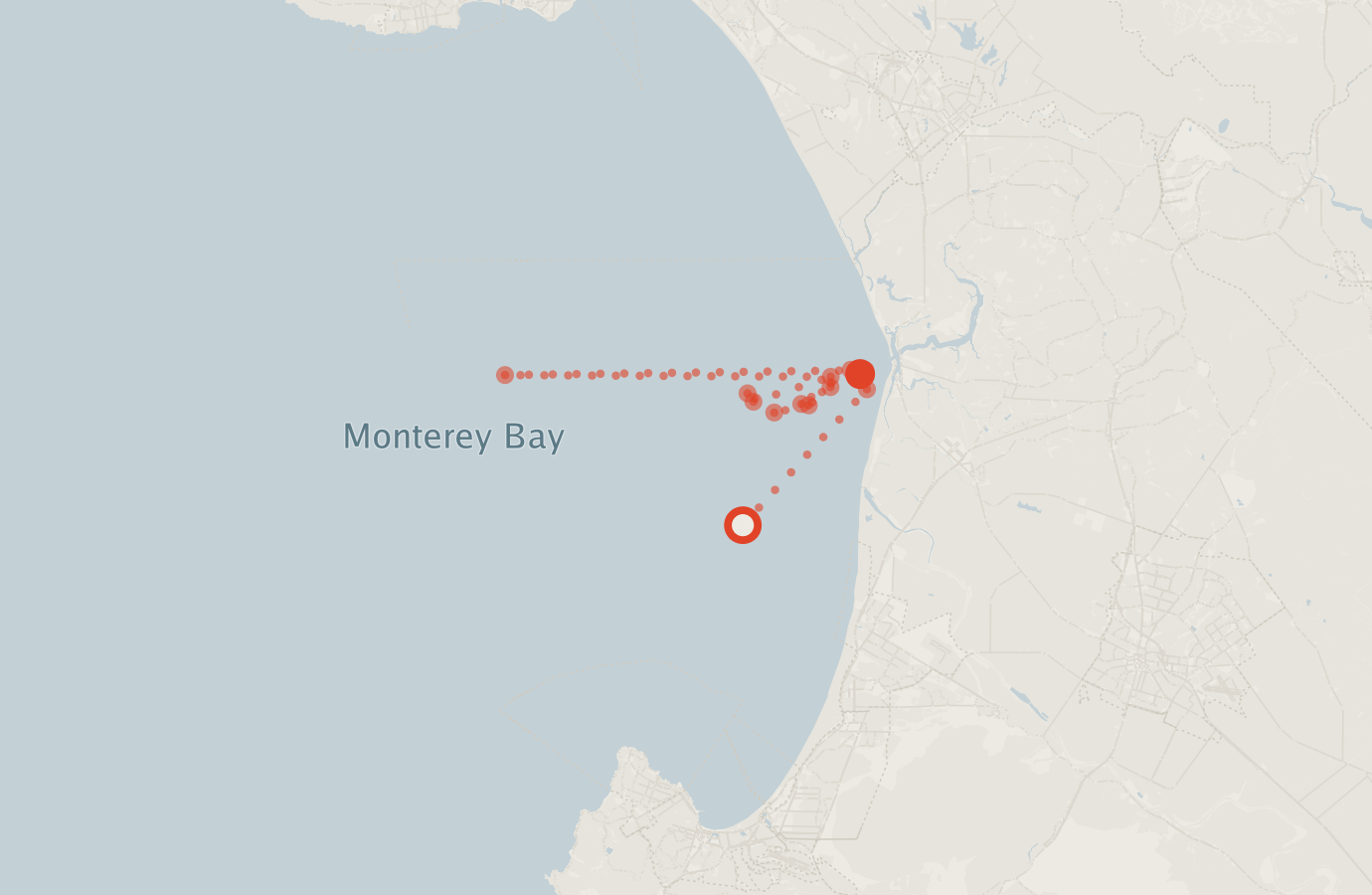 Activity map — real sighting points on an OpenStreetMap basemap