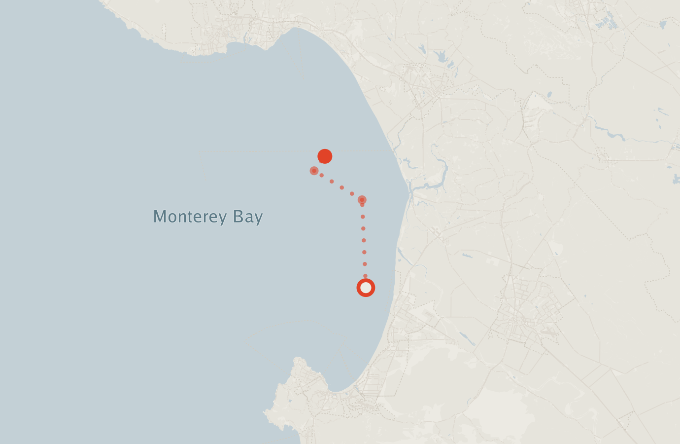 Activity map — real sighting points on an OpenStreetMap basemap