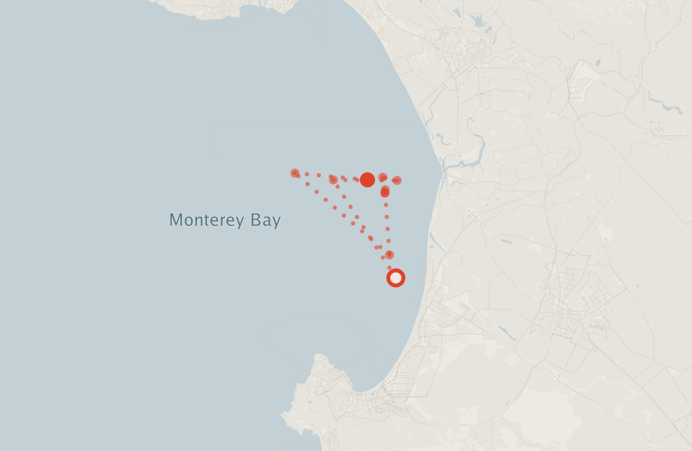 Activity map — real sighting points on an OpenStreetMap basemap