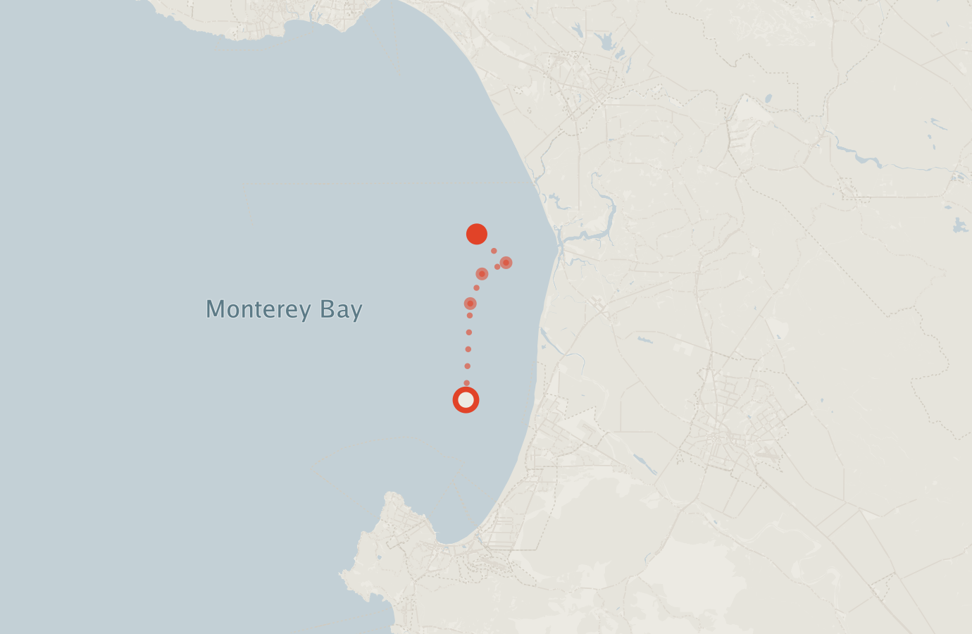 Activity map — real sighting points on an OpenStreetMap basemap