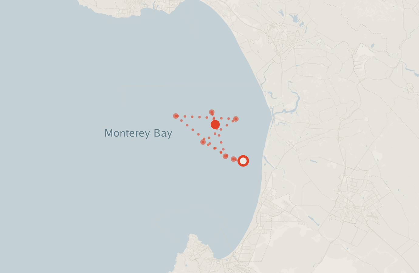 Activity map — real sighting points on an OpenStreetMap basemap