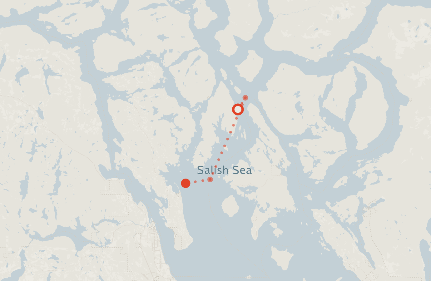 Activity map — real sighting points on an OpenStreetMap basemap