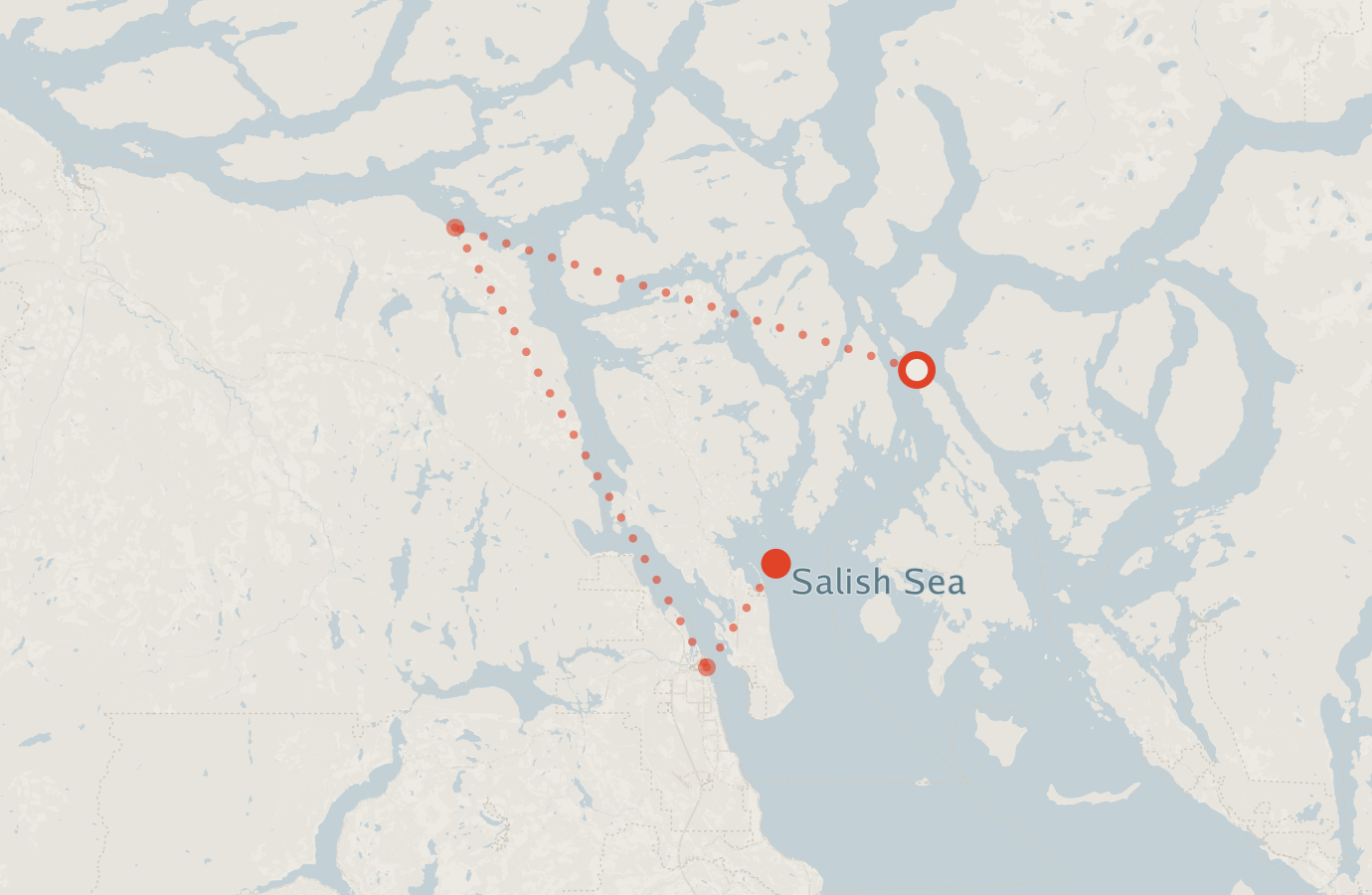 Activity map — real sighting points on an OpenStreetMap basemap
