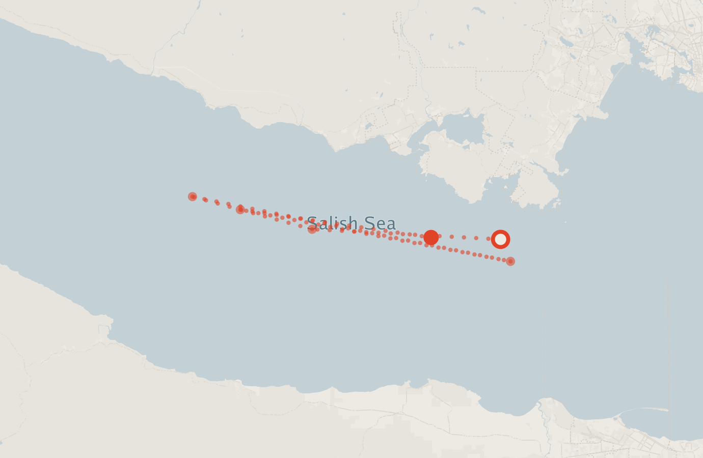 Activity map — real sighting points on an OpenStreetMap basemap