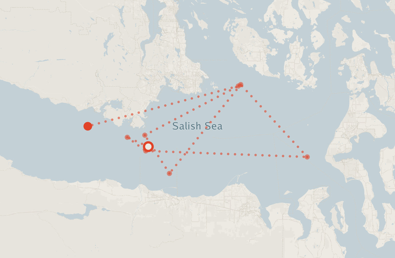 Activity map — real sighting points on an OpenStreetMap basemap