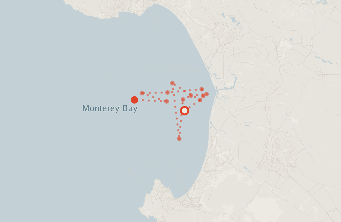 Activity map — real sighting points on an OpenStreetMap basemap