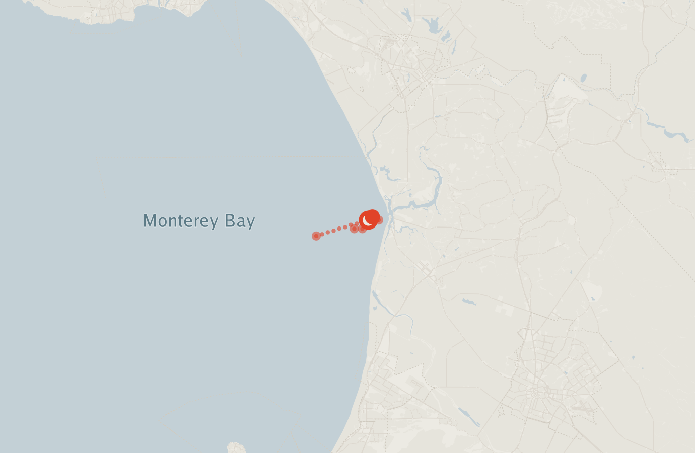 Activity map — real sighting points on an OpenStreetMap basemap