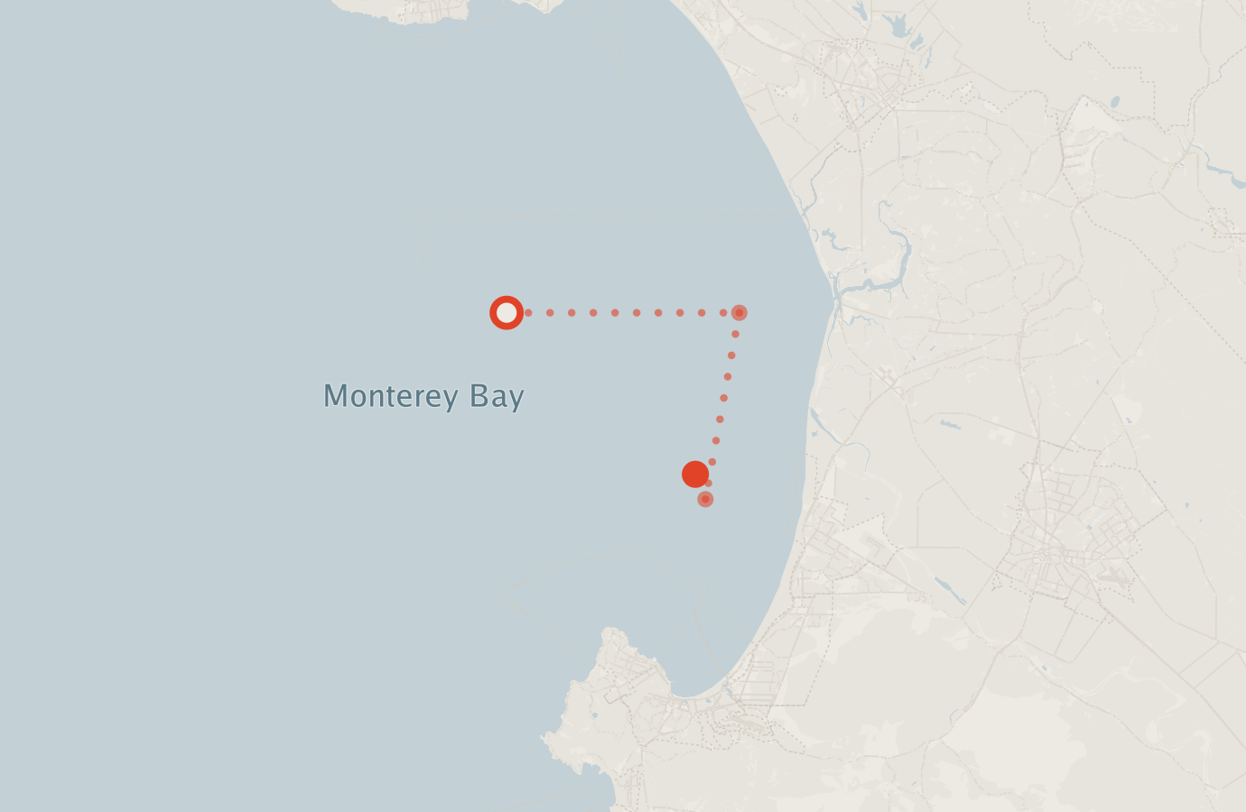Activity map — real sighting points on an OpenStreetMap basemap
