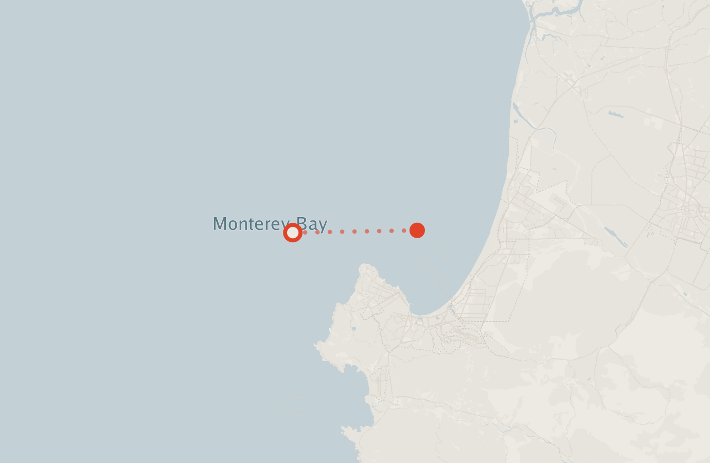 Activity map — real sighting points on an OpenStreetMap basemap