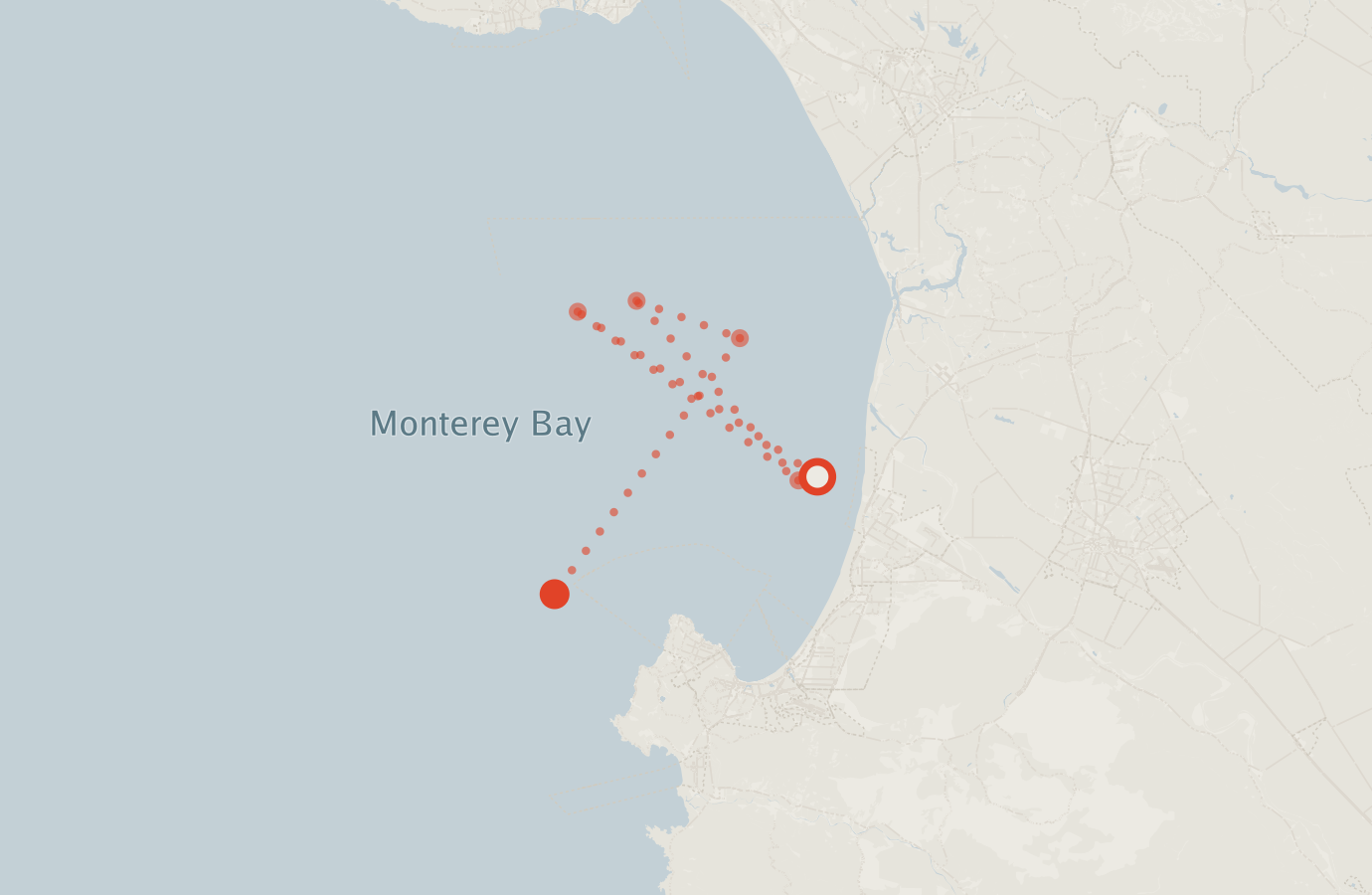 Activity map — real sighting points on an OpenStreetMap basemap