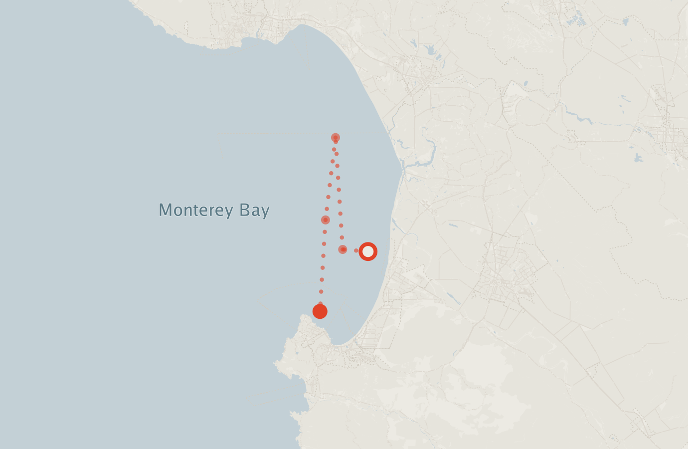 Activity map — real sighting points on an OpenStreetMap basemap