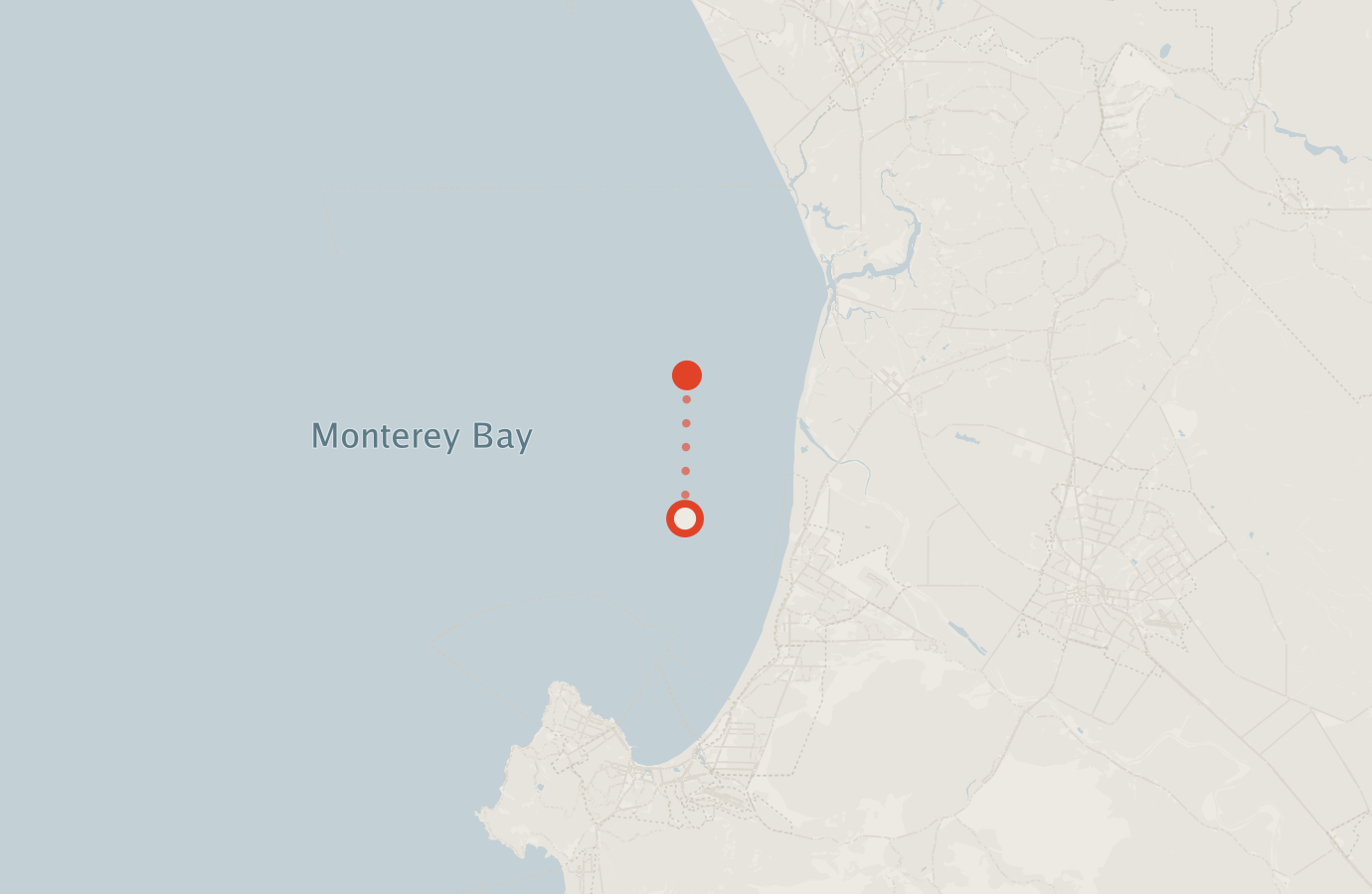 Activity map — real sighting points on an OpenStreetMap basemap