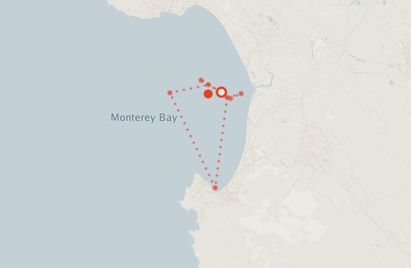 Activity map — real sighting points on an OpenStreetMap basemap