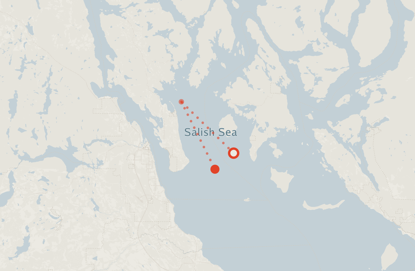 Activity map — real sighting points on an OpenStreetMap basemap