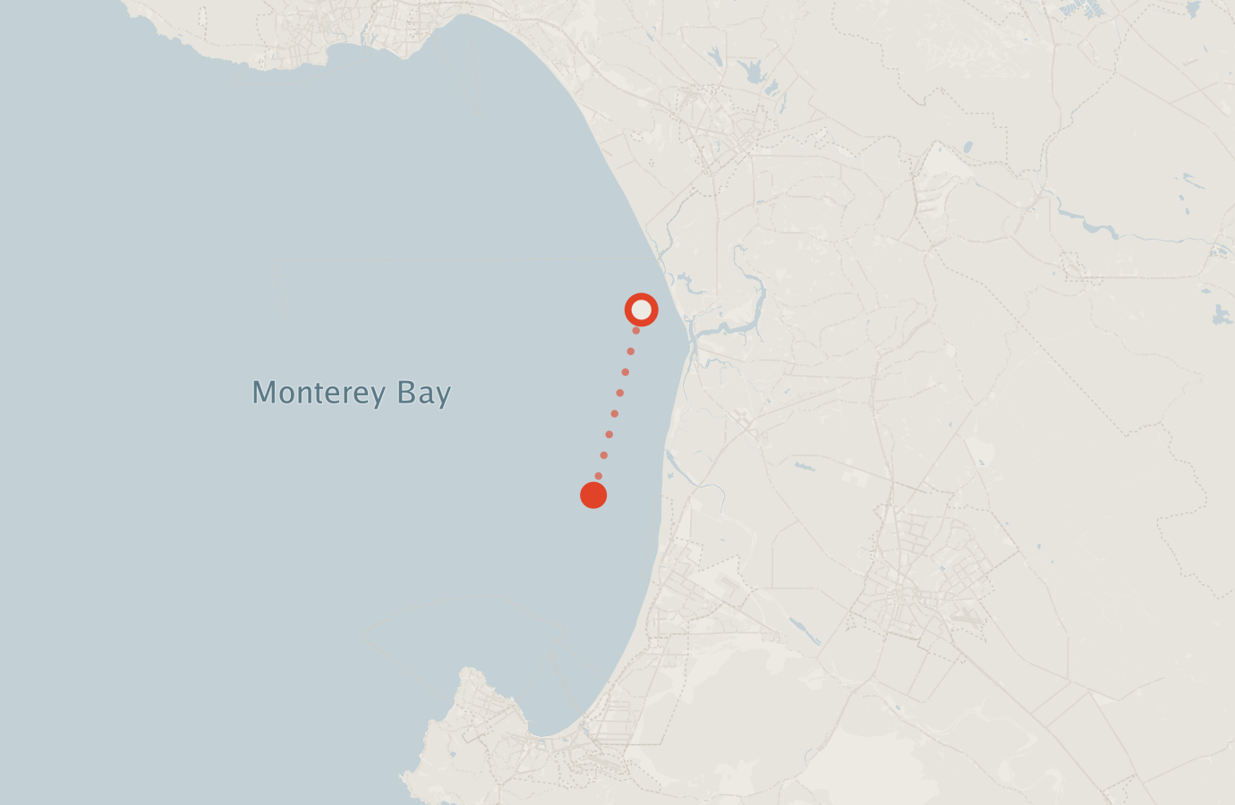 Activity map — real sighting points on an OpenStreetMap basemap