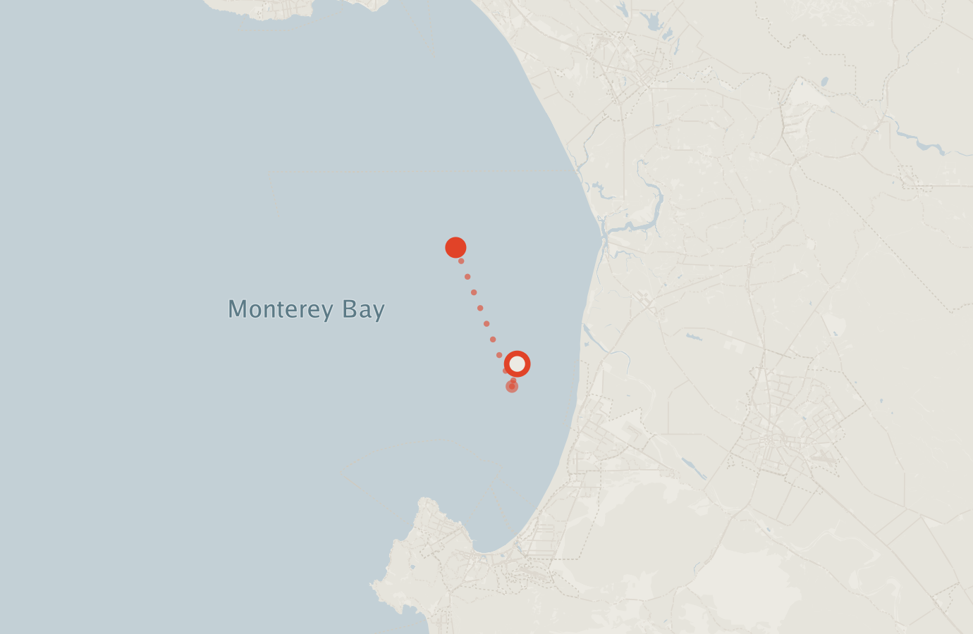 Activity map — real sighting points on an OpenStreetMap basemap