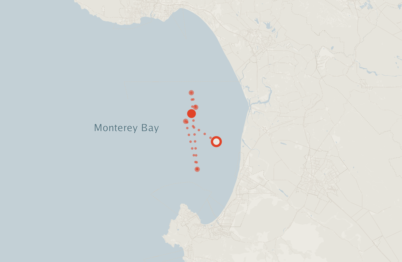 Activity map — real sighting points on an OpenStreetMap basemap
