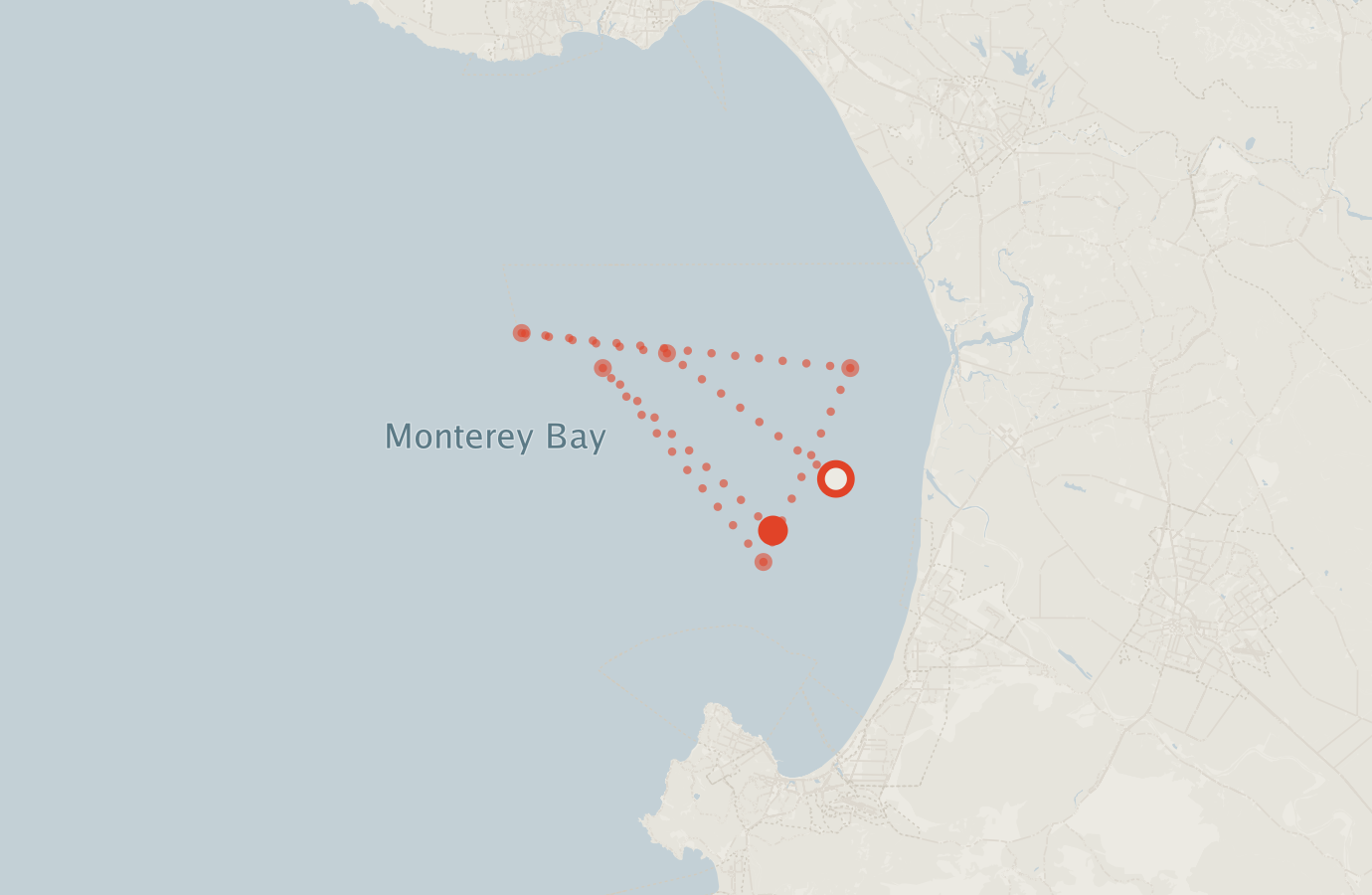 Activity map — real sighting points on an OpenStreetMap basemap